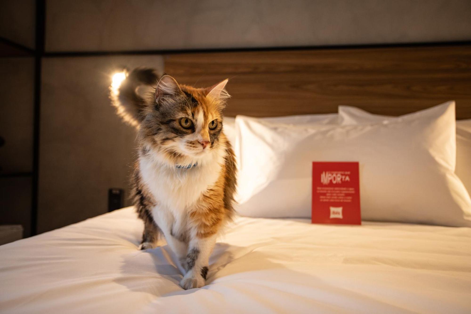 Ibis Hotel 3*